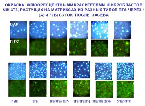 et3_pic2 (73Кб)