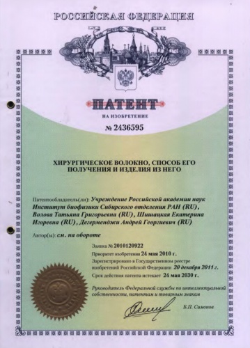 patent1 (161Кб)