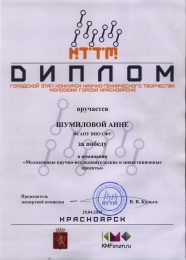 Шумилова А.А (642Кб)